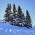 Image-square_50