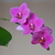 Image-square_50