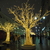 Image-square_50