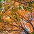 Image-square_50