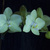 Image-square_50