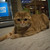 Image-square_50