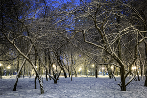 Image-preview_300x200