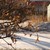 Image-square_50