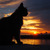Image-square_50