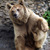 Image-square_50