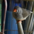 Image-square_50
