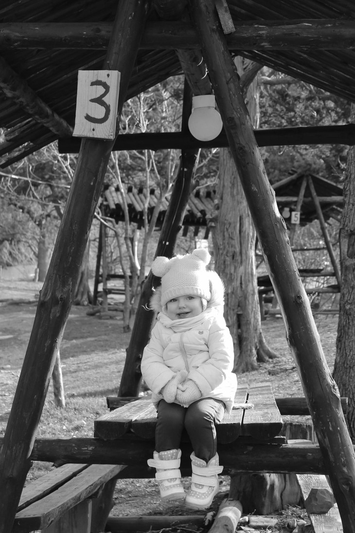 Image-normal