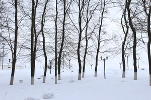 Image-preview_300x200
