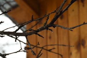 Image-preview_300x200
