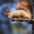 Image-square_50