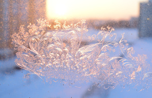 Image-preview_300x200