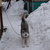 Image-square_50