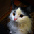 Image-square_50