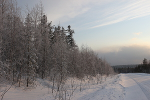 Image-preview_300x200