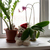 Image-square_50
