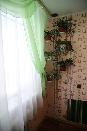 Image-preview_300x200