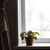 Image-square_50