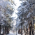 Image-square_50