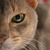 Image-square_50