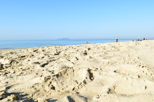 Image-preview_300x200