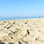 Image-square_50