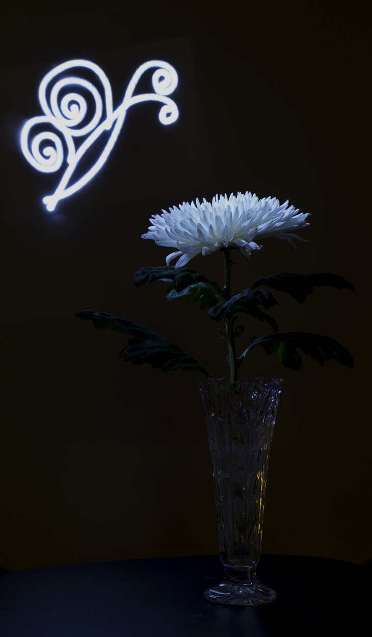 Image-normal