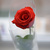 Image-square_50