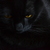 Image-square_50