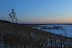 Image-preview_300x200