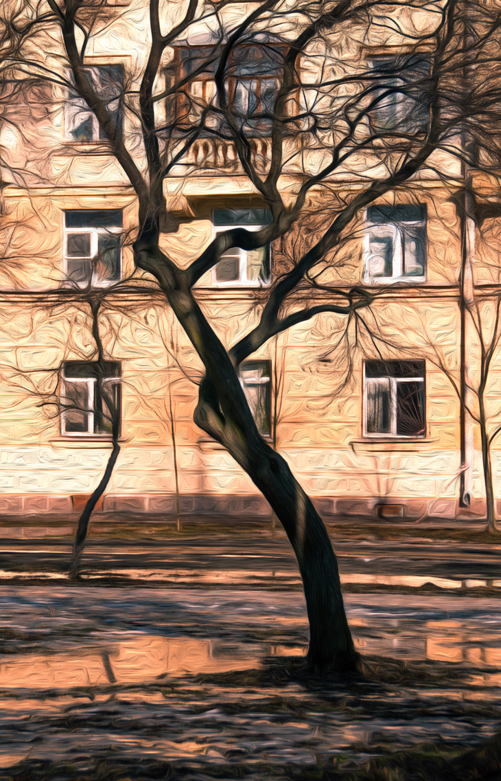 Image-normal