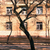 Image-square_50
