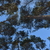 Image-square_50