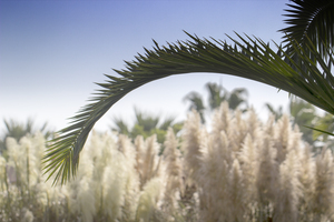 Image-preview_300x200