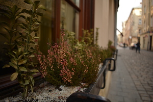 Image-preview_300x200