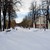 Image-square_50