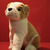 Image-square_50