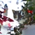 Image-square_50