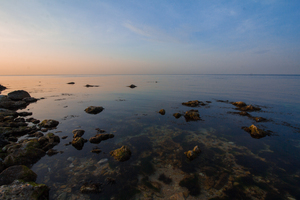 Image-preview_300x200