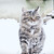 Image-square_50