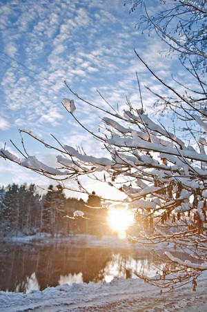 Image-preview_300x200