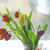 Image-square_50