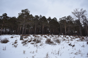 Image-preview_300x200