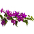 Image-square_50
