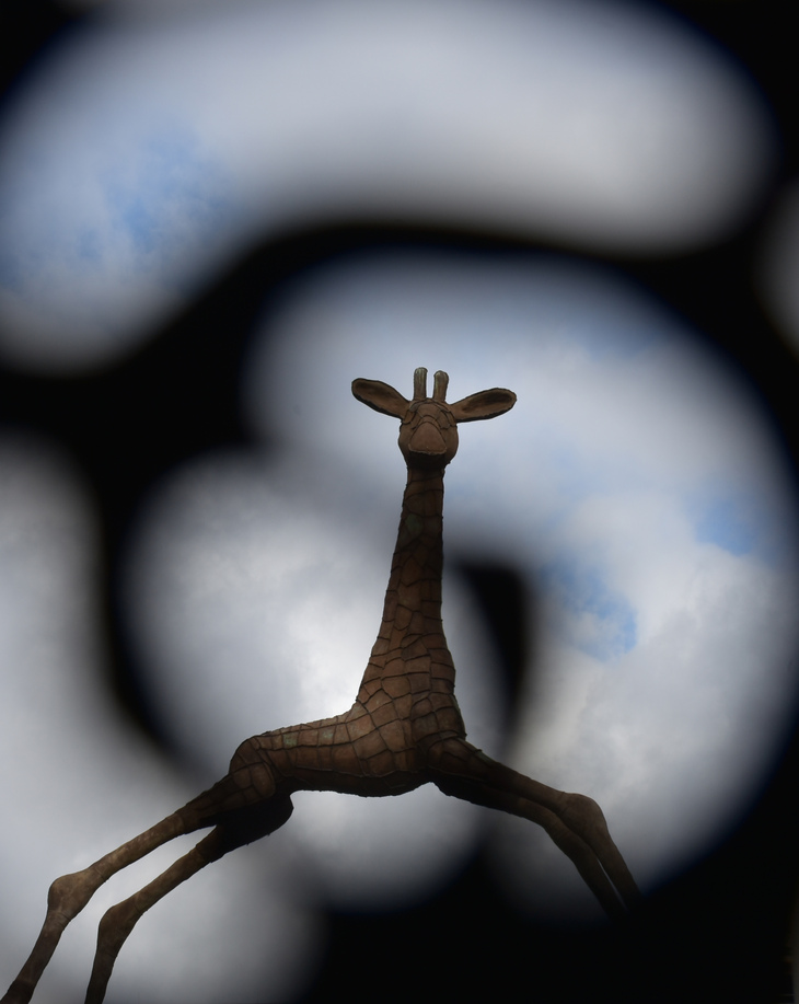 Image-normal