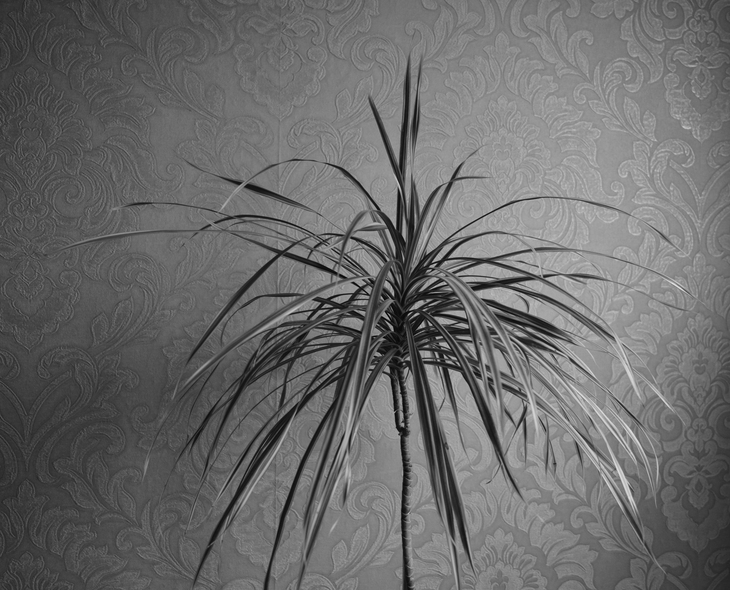Image-normal