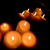 Image-square_50