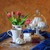 Image-square_50