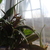 Image-square_50