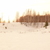 Image-square_50